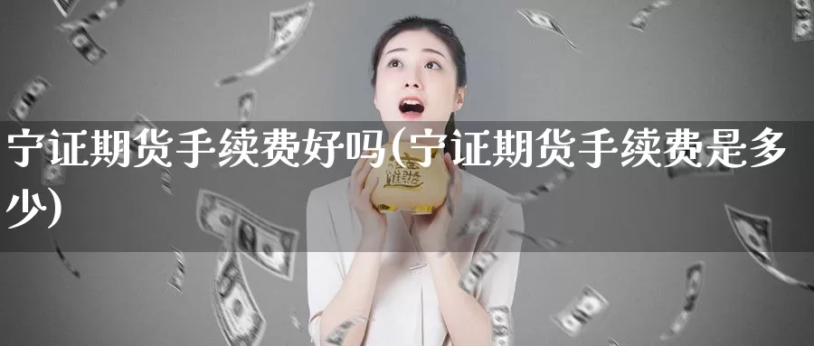 宁证期货手续费好吗(宁证期货手续费是多少)_https://www.qdfrdjx.com_道指期货直播间_第1张