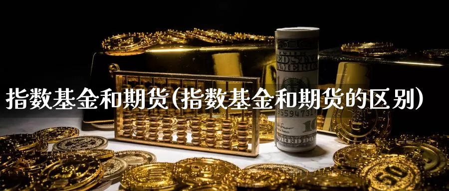 指数基金和期货(指数基金和期货的区别)_https://www.qdfrdjx.com_道指期货直播室_第1张