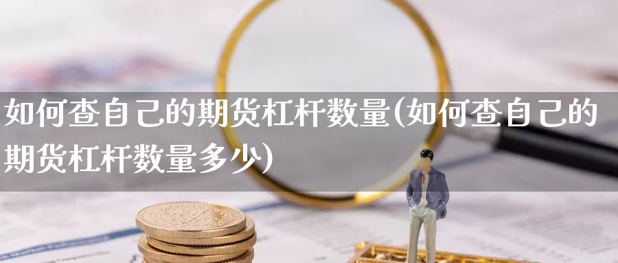 如何查自己的期货杠杆数量(如何查自己的期货杠杆数量多少)_https://www.qdfrdjx.com_道指期货直播间_第1张