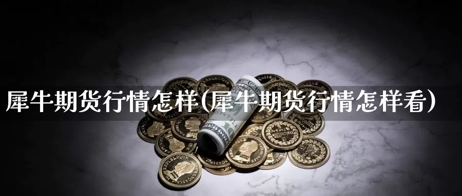 犀牛期货行情怎样(犀牛期货行情怎样看)_https://www.qdfrdjx.com_道指期货直播室_第1张