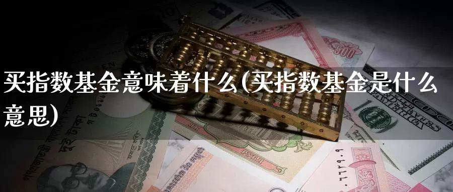 买指数基金意味着什么(买指数基金是什么意思)_https://www.qdfrdjx.com_道指期货手续费_第1张