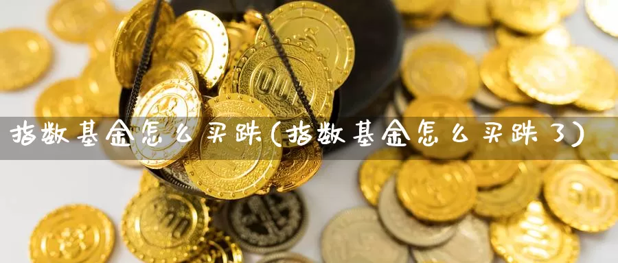 指数基金怎么买跌(指数基金怎么买跌了)_https://www.qdfrdjx.com_道指期货直播间_第1张