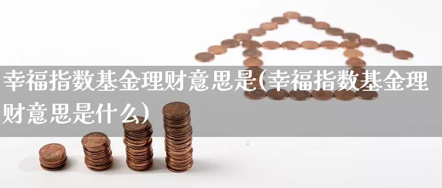 幸福指数基金理财意思是(幸福指数基金理财意思是什么)_https://www.qdfrdjx.com_道指期货直播室_第1张