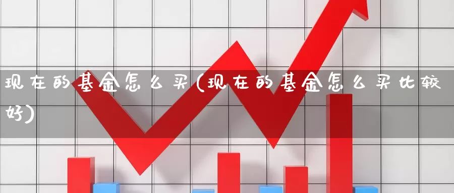 现在的基金怎么买(现在的基金怎么买比较好)_https://www.qdfrdjx.com_道指期货直播室_第1张